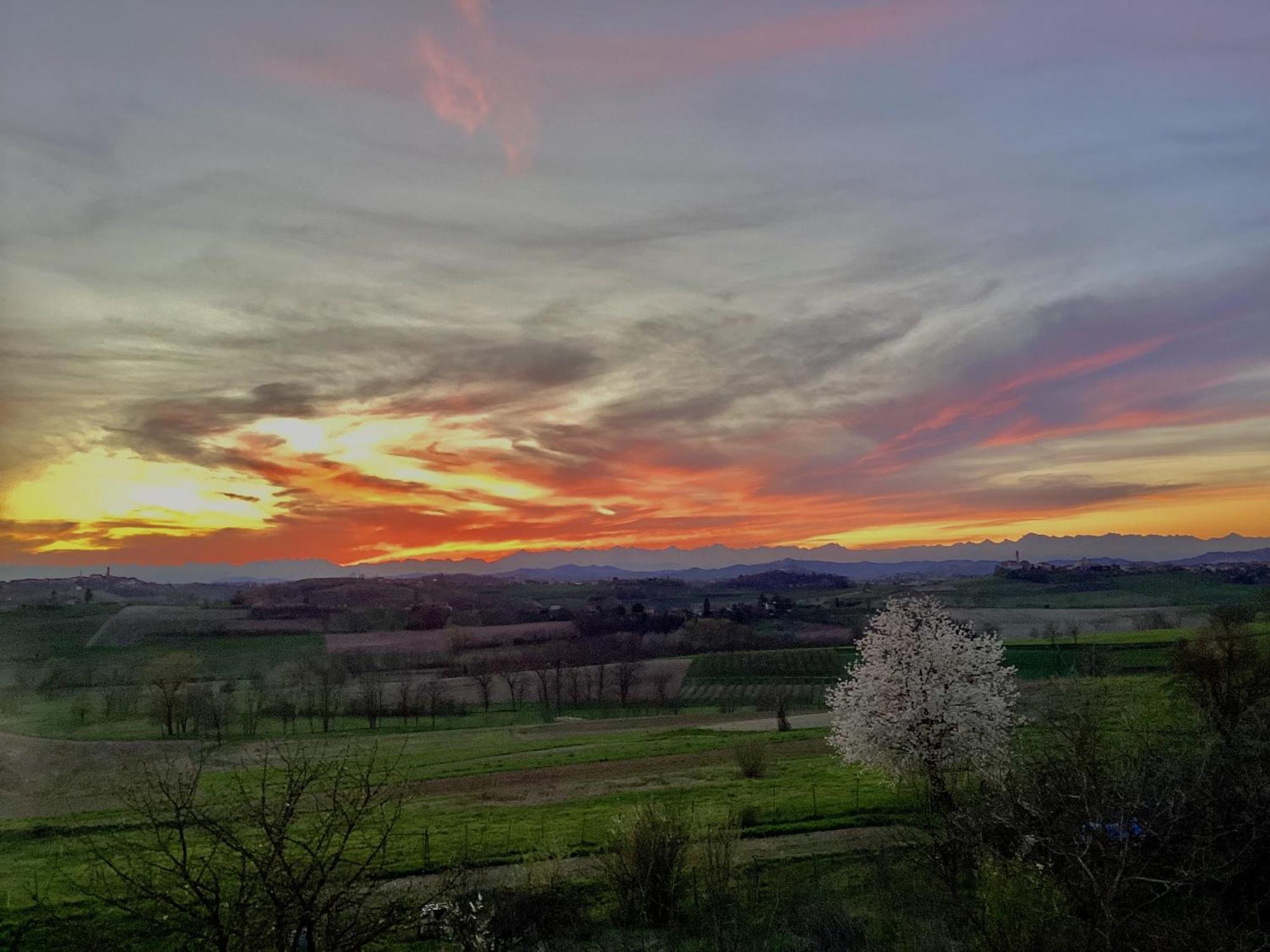 Casapaletti Country House Alfiano Natta Esterno foto